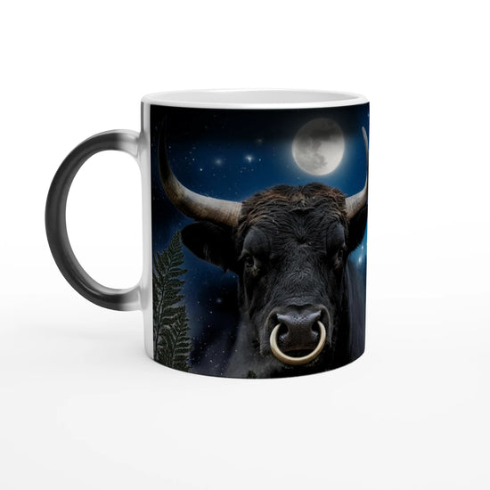 508828c9-aeac-414b-9513-49063847fd84