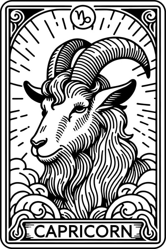 Embroidered Capricorn Tarot Hoodie