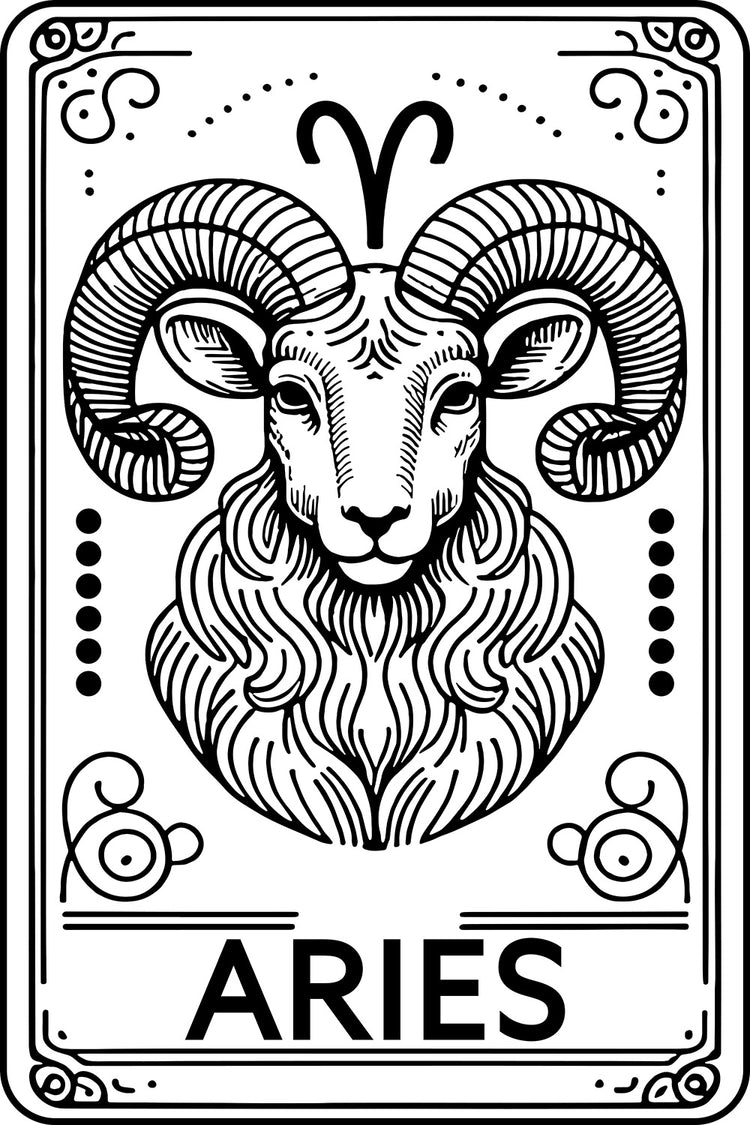 Aries  Embroidered oversized hoodie Gold