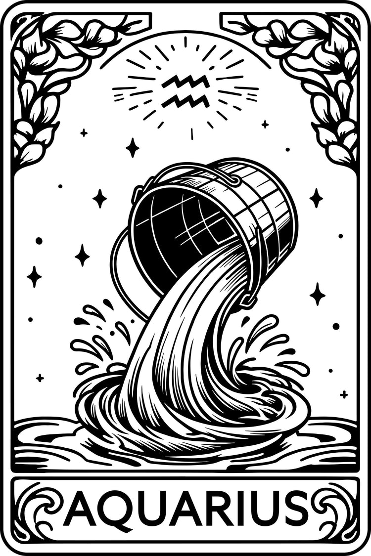 Embroidered Aquarius Tarot Hoodie